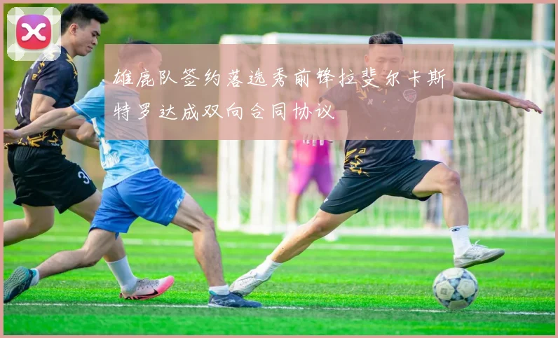 雄鹿队签约落选秀前锋拉斐尔卡斯特罗达成双向合同协议